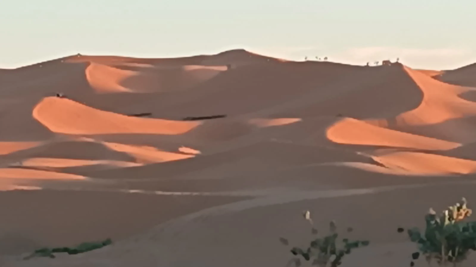 Désert du Sahara Maroc